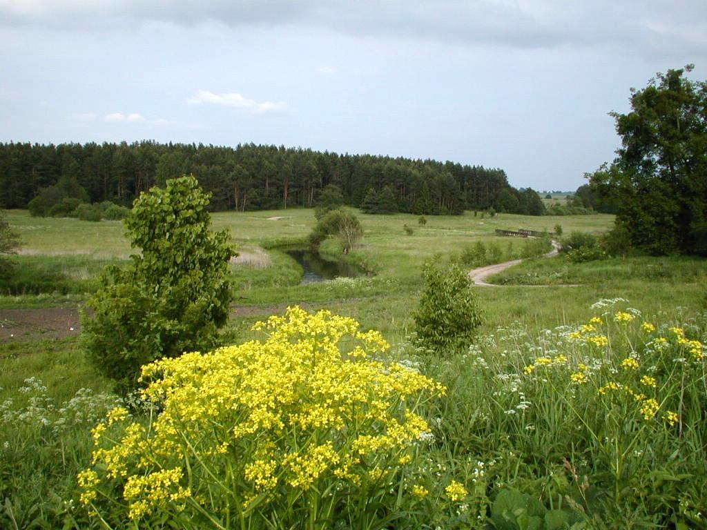 Palac Wojciechy Exterior foto